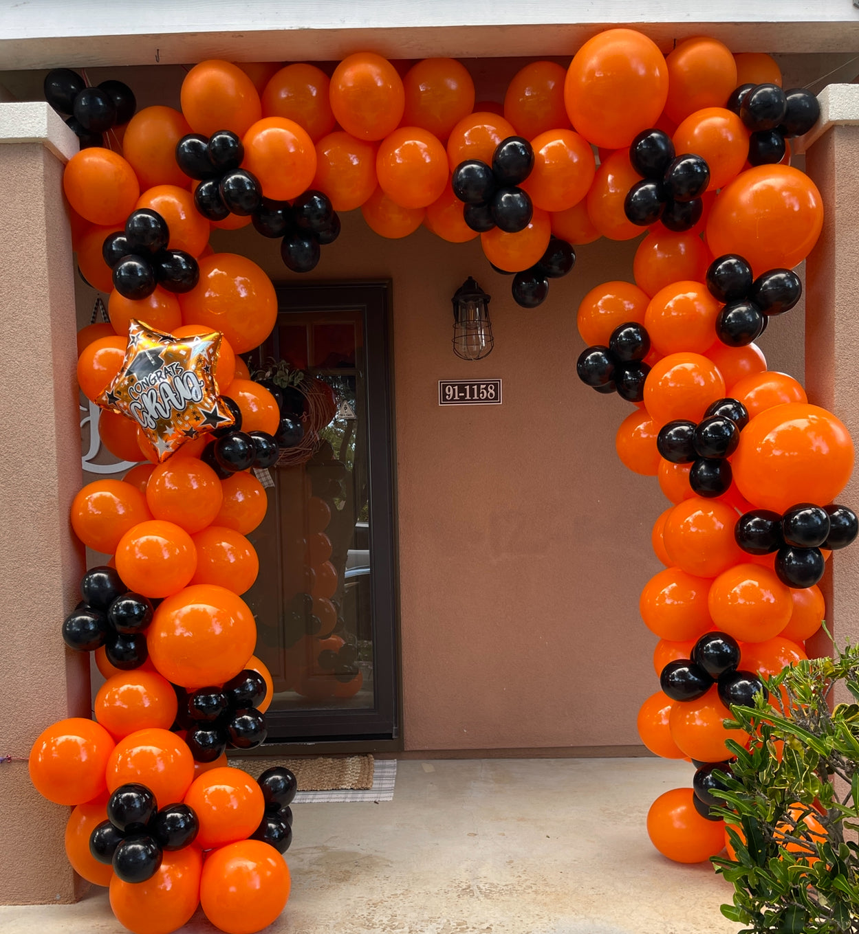 Balloon Extravaganza -Balloon Garland
